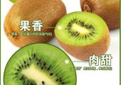 如何选购PG国际猕猴桃？