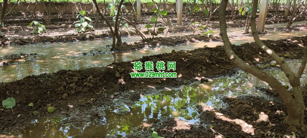 PG国际 98184