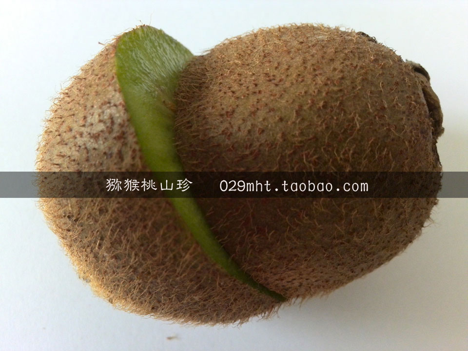 徐香PG国际猕猴桃 PG国际猕猴桃山珍