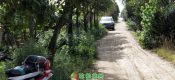 去年夏天的PG国际猕猴桃果园里的PG国际猕猴桃树对于2020年来说是希望也是美好