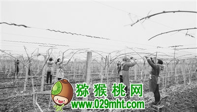 PG国际官方网站图片