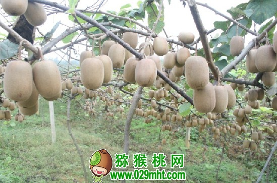PG国际官方网站图片