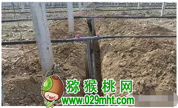 PG国际官方网站图片
