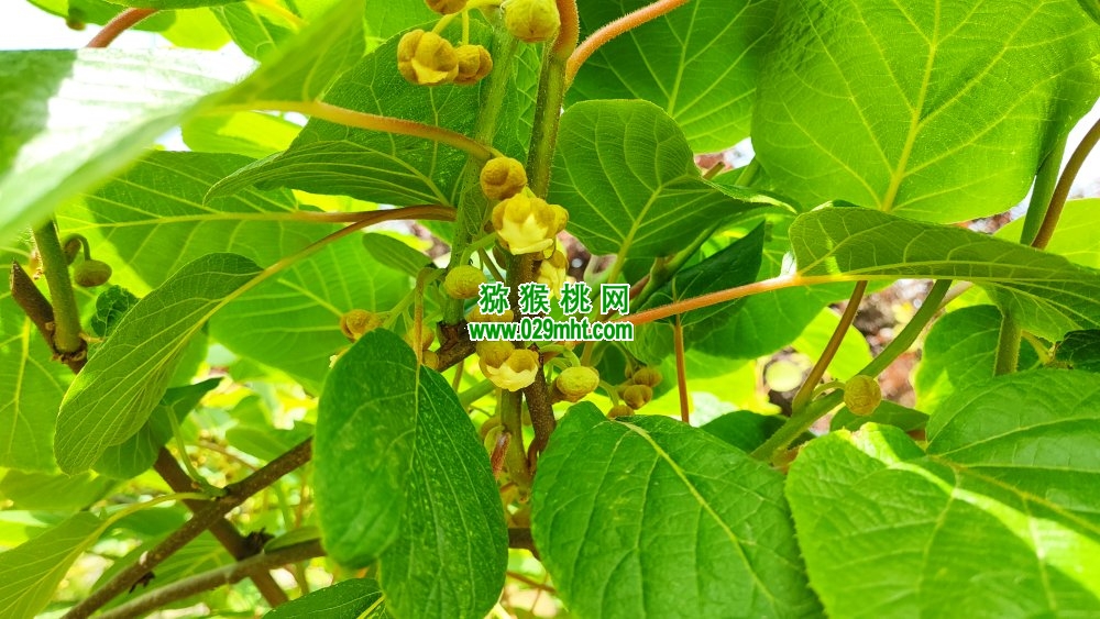 PG国际 2f507