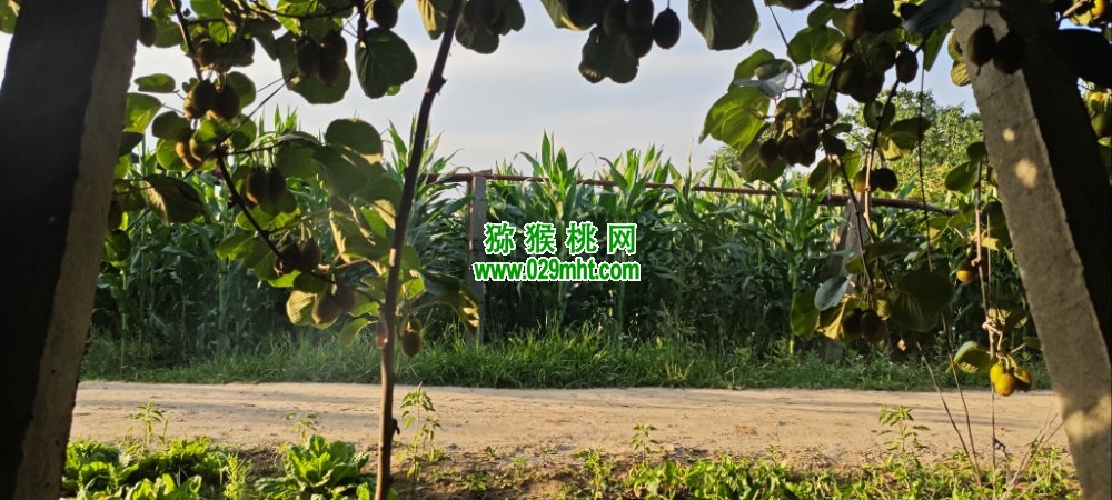 PG国际 5c045