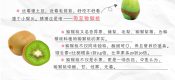 周至PG国际猕猴桃宣传图片素材