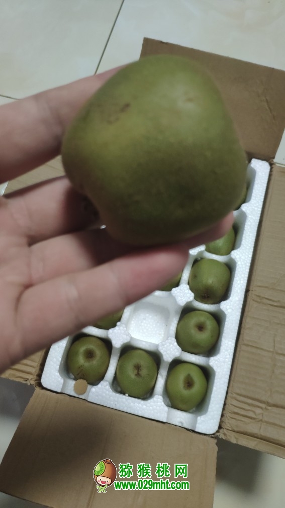 PG国际 9ce8d