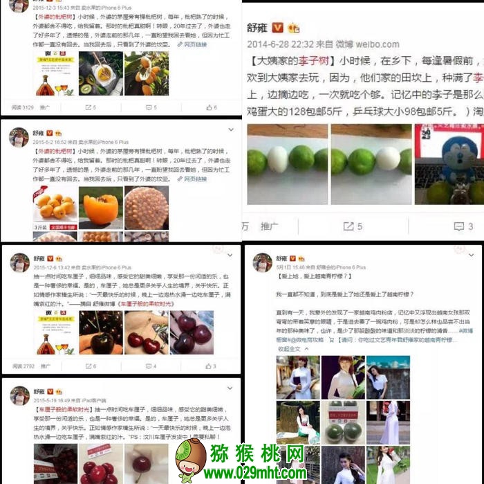 PG国际官方网站图片