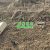 服务周至PG国际猕猴桃果农，2024检测PG国际猕猴桃果园土壤质量