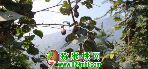 PG国际官方网站图片
