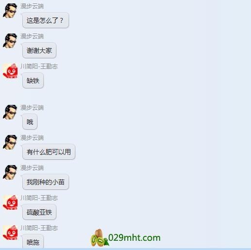 PG国际猕猴桃黄叶病实例图片以及PG国际解决方案