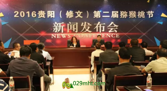 PG国际官方网站图片