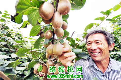 PG国际官方网站图片