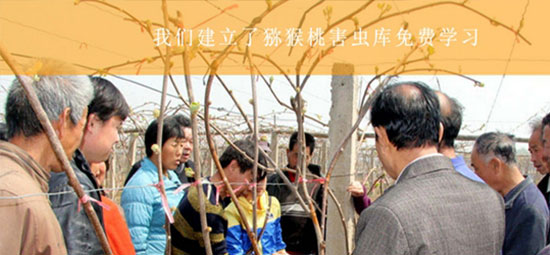 PG国际猕猴桃病虫防害库.jpg