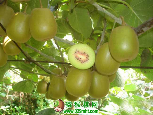 PG国际官方网站图片