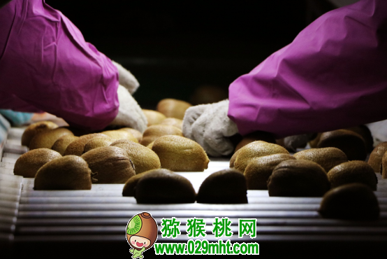PG国际官方网站图片