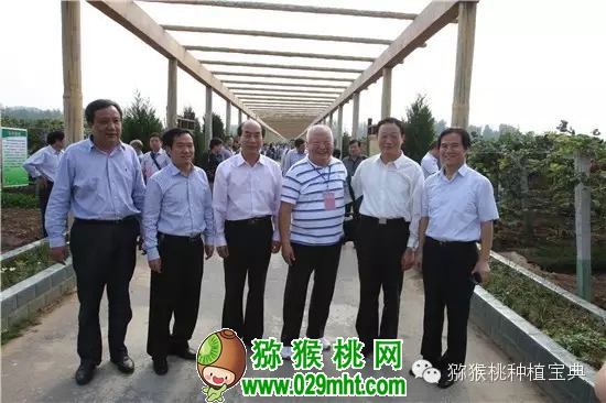 PG国际官方网站图片
