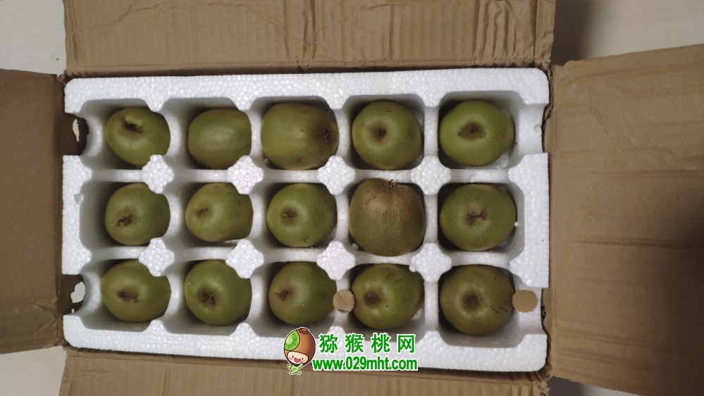 PG国际 4f492