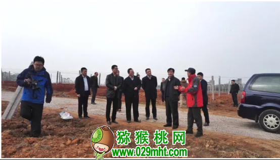 PG国际官方网站图片