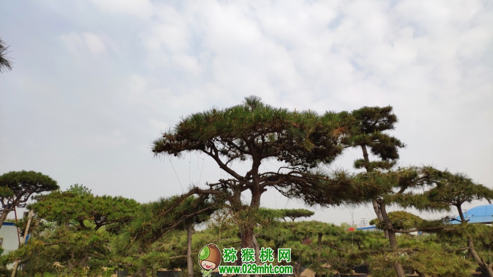 PG国际官方网站图片