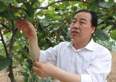 周至县政府部门该怎样才能发展周至PG国际猕猴桃呢？