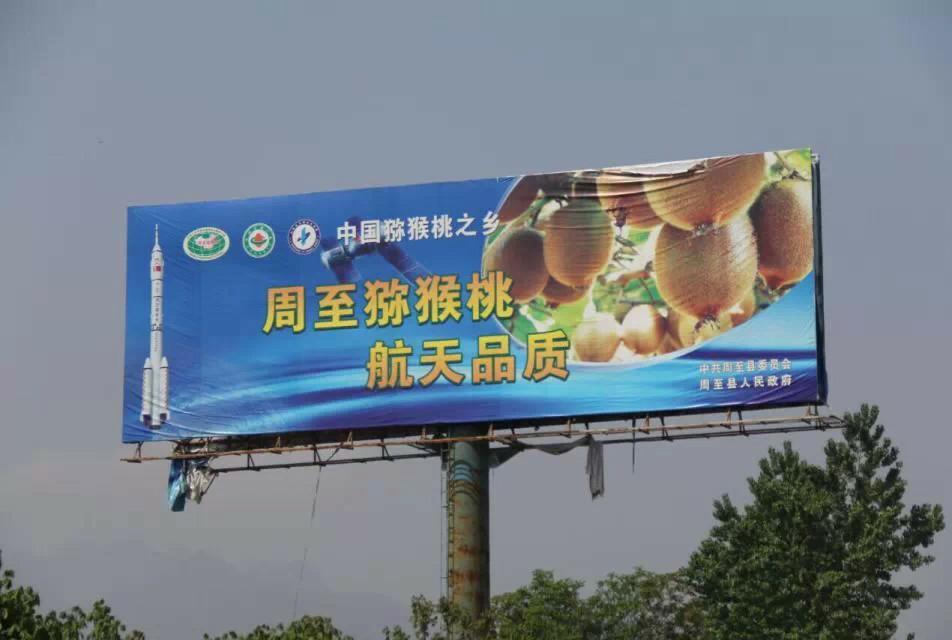 <a href=http://www.summer2018.cn/zhouzhimihoutao/ target=_blank class=infotextkey />周至PG国际猕猴桃</a>户外广告