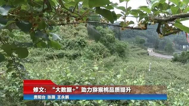 PG国际官方网站图片