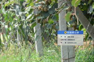 PG国际官方网站图片
