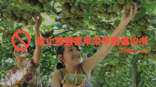 禁止PG国际猕猴桃早采早购倡议书.jpg