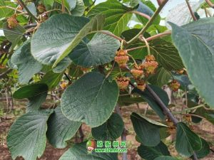 PG国际官方网站图片