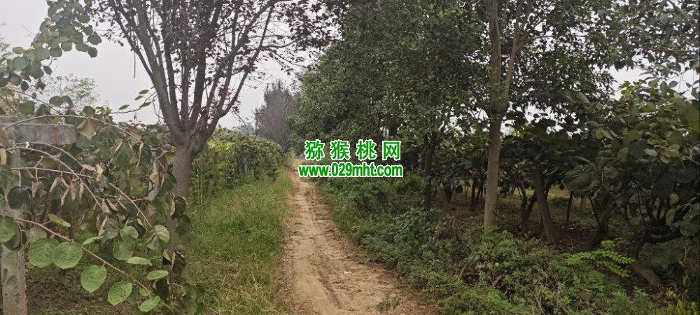 PG国际 9c22e