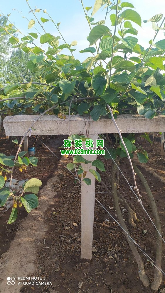 PG国际 fd63b