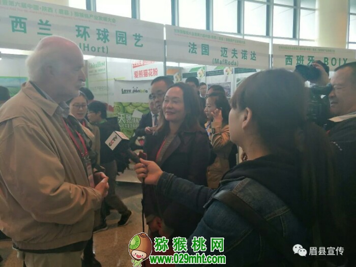PG国际官方网站图片
