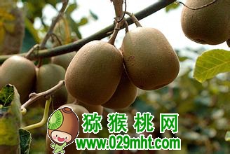 PG国际官方网站图片
