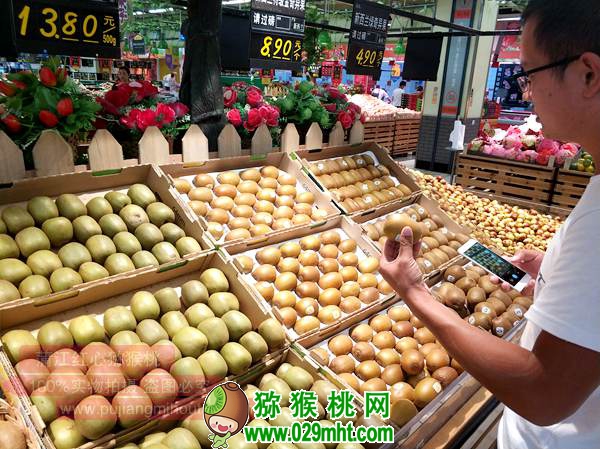 新西兰佳沛宣布发放更多G3阳光金果的种植许可,价格高的吓人