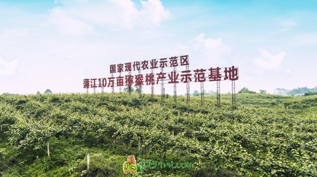 PG国际官方网站图片