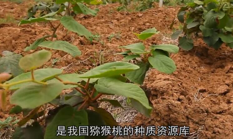 PG国际官方网站图片