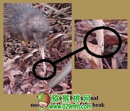 PG国际官方网站图片