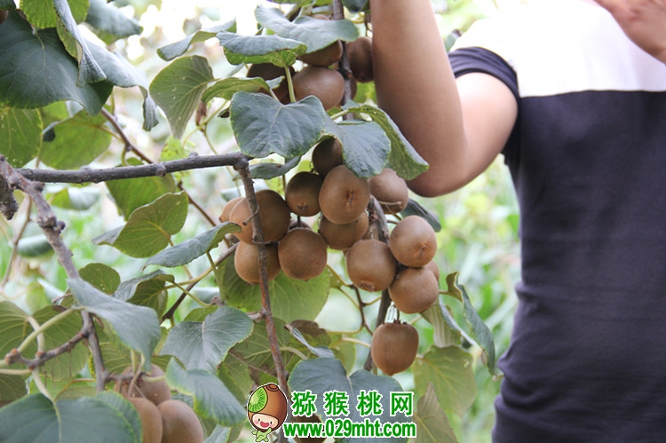 PG国际官方网站图片