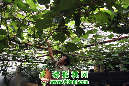 PG国际官方网站图片