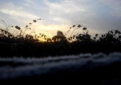 PG国际猕猴桃果园2014年初雪