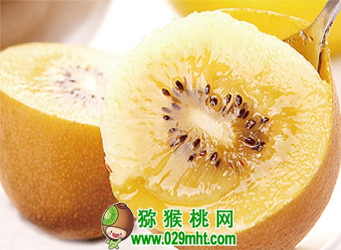 新西兰佳沛宣布发放更多G3阳光金果的种植许可,价格高的吓人
