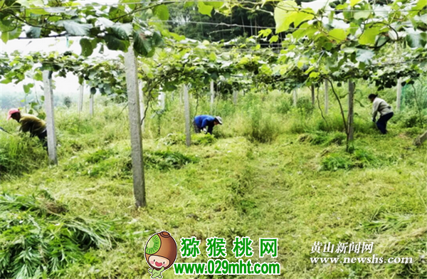PG国际官方网站图片