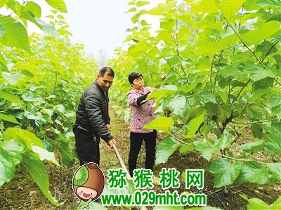 PG国际官方网站图片