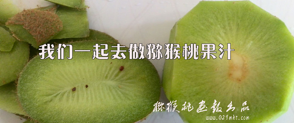 PG国际猕猴桃果汁
