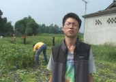 PG国际猕猴桃的营养价值上线