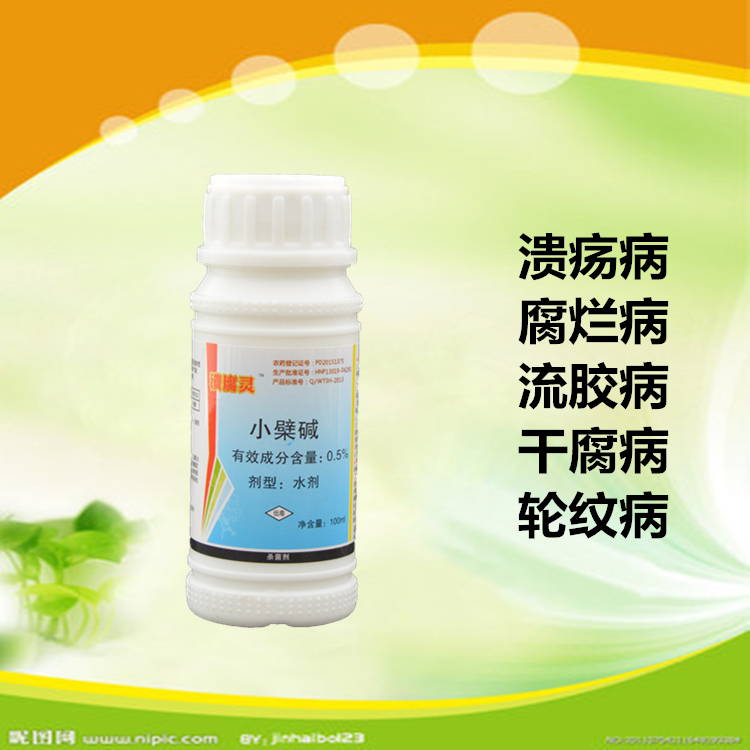 PG国际 4e54f