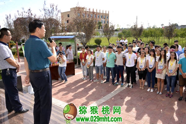 PG国际官方网站图片