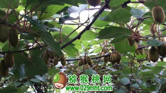 PG国际官方网站图片