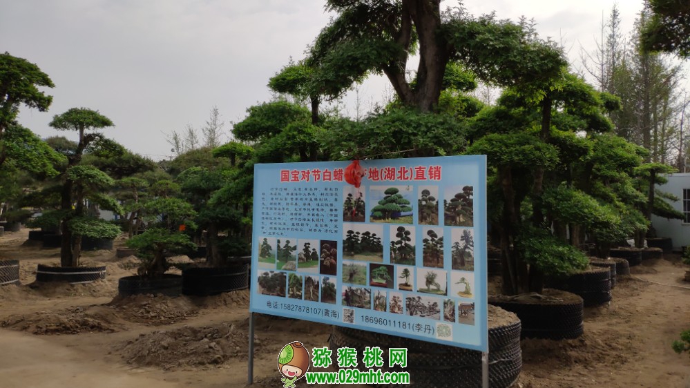 PG国际官方网站图片
